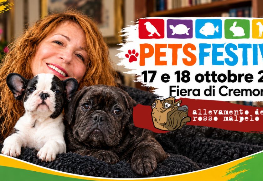 pet festival